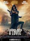 Čarodejnica a lovec film poster